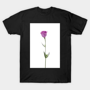 Beautiful pink flower T-Shirt